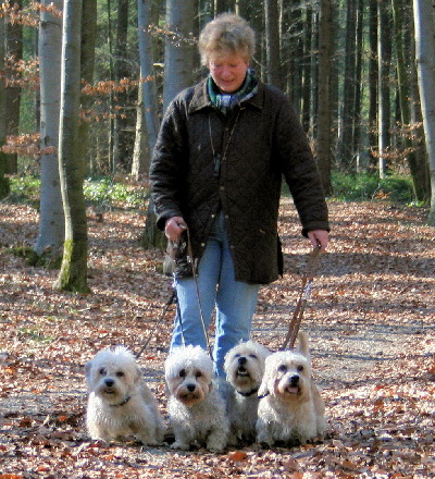 2006: My four Dandies