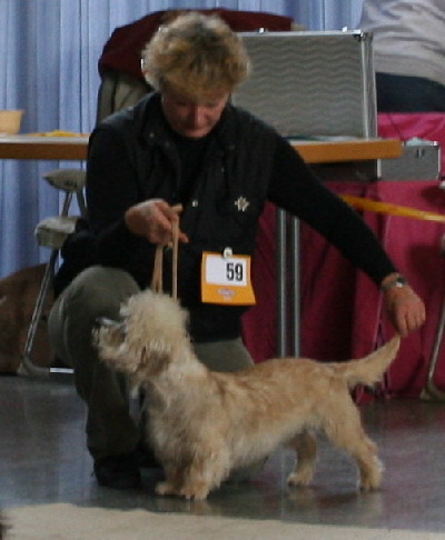 2007: Ausstellung Kippenheim