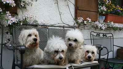 Gallery 4: In the Field