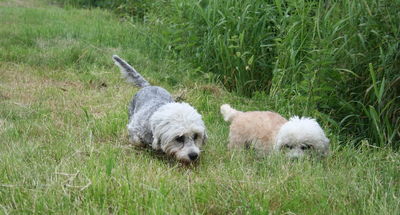 Gallery 4: In the Field